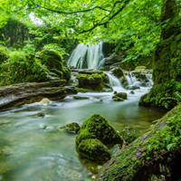 清澈见底的溪水风景头像，涓涓流淌的溪水图片_7