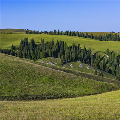 浓郁和辽阔的草原风景头像，大草原自然风景图片_7