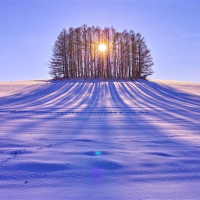 唯美雪景头像，好看的冬季雪景风景图片_9