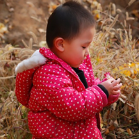 银杏园之可爱小孩子头像图片,在银杏园内妈妈给拍的,好幸福呀_9