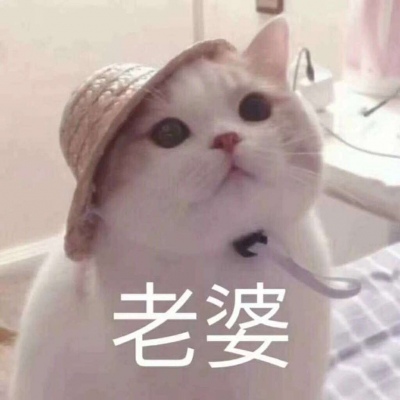 可爱猫咪情侣头像，人孤独才明白爱是救赎_9