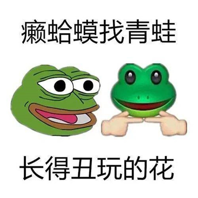 沙雕表情超搞笑最新合集 懒蛤蟆找青蛙长的丑玩的花