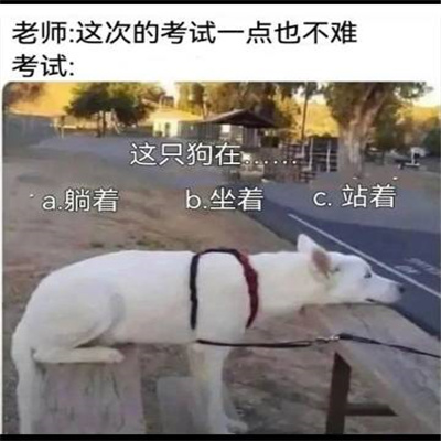 近期使用频率较高的聊天表情 让我看看你是什么货色_3