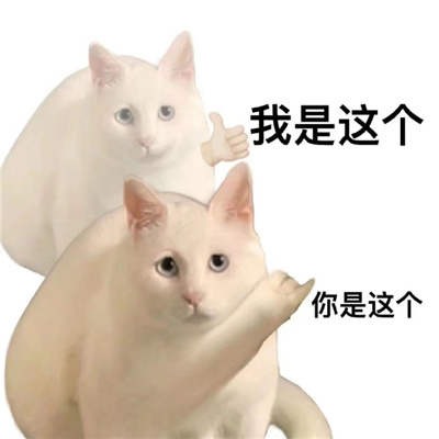 最新版猫咪有病表情大全 暴躁冷酷猫咪的好用表情合集_2