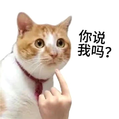 最新版猫咪有病表情大全 暴躁冷酷猫咪的好用表情合集_8