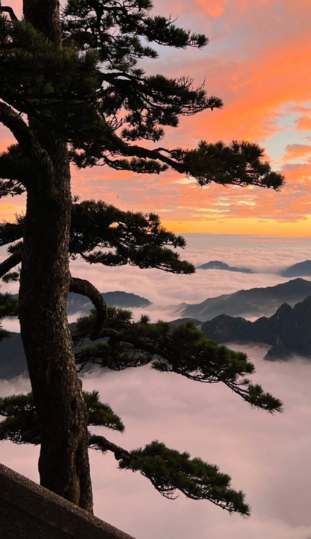 让人着迷的黄山风景壁纸高清 归来黄山不看哦_4